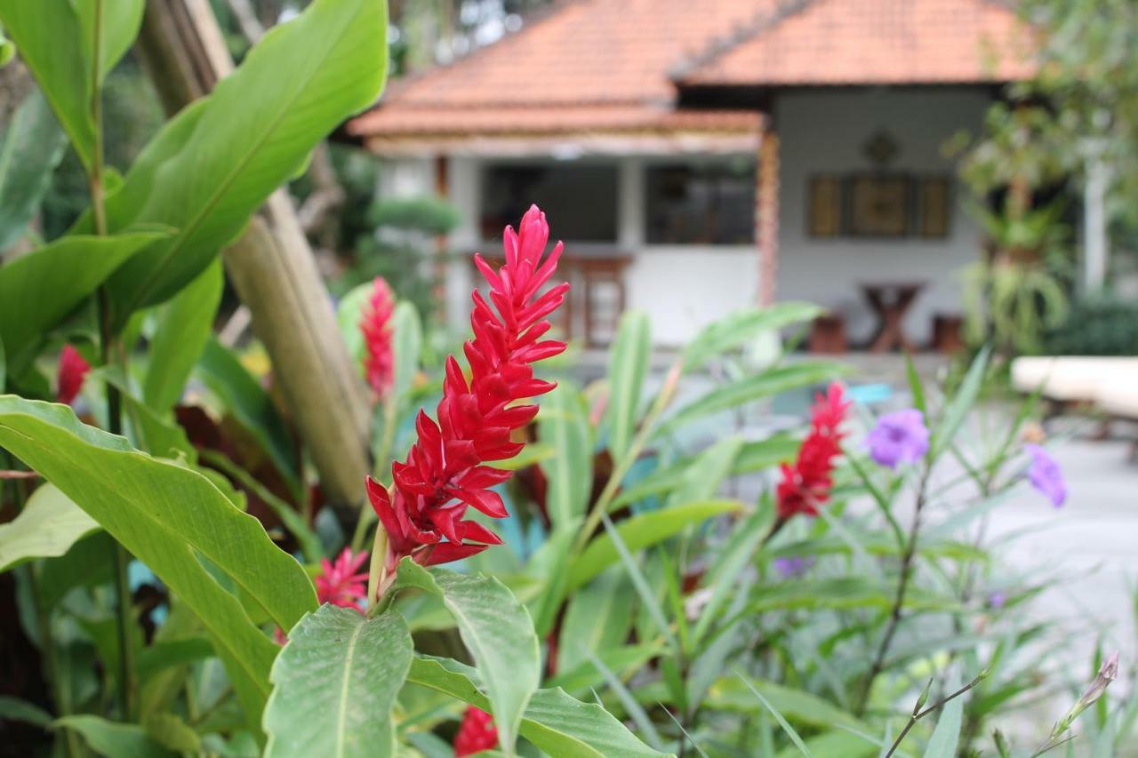 Villa Sindu Ubud Exterior foto