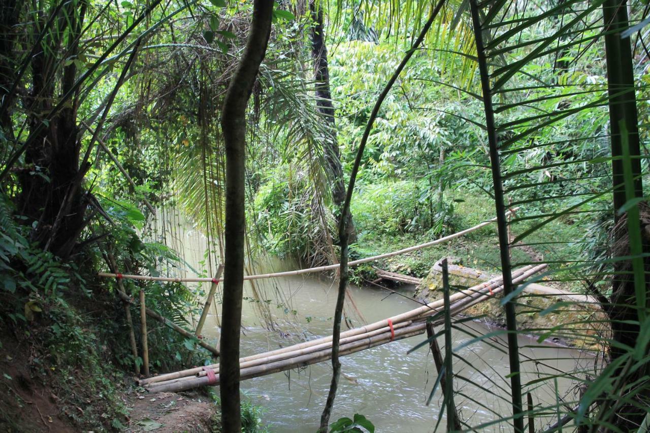 Villa Sindu Ubud Exterior foto