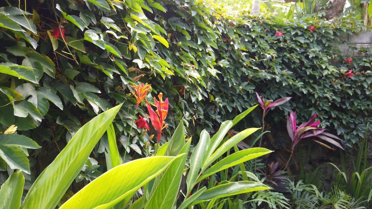 Villa Sindu Ubud Exterior foto